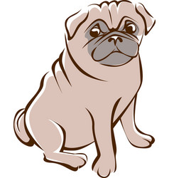 pug outline drawing pug outline drawing royalty free vector image vectorstock pug outline drawing pug outline drawing royalty free vector image vectorstock