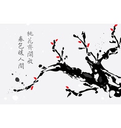 Chinese cherry painting vector image