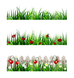 Green grass seamless set Royalty Free Vector Image