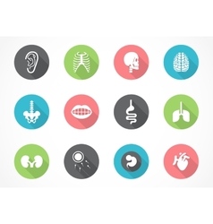 Icon a body Royalty Free Vector Image - VectorStock