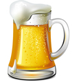 Mug of beer vector image