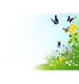 Butterflies and Flowers vector image