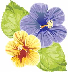Hibiscus design vector image
