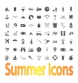 Summer Icons vector image