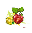 Apples with colorful splashes vector image