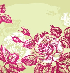 Floral background with roses vector image