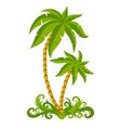 Tropical palms vector image