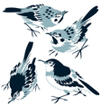 Bird illustration vector image