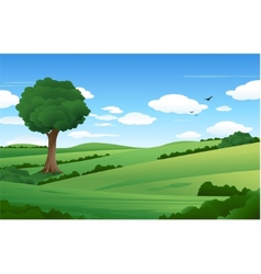 Nature landscape vector image