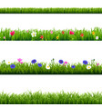 Big set green grass and spring flowers borders vector image