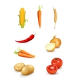 Vegetables vector image