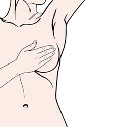 Breast exam Breast exam vector image