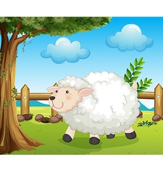 A sheep inside the fence vector image