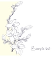 Background magnolia flowers for card or invitation vector image