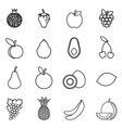 Fruit drawing vector image