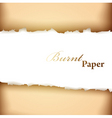 Burnt paper frame vector image