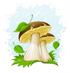 Mushrooms vector image