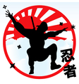 Ninja vector image