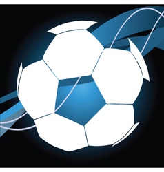 Soccer ball vector image