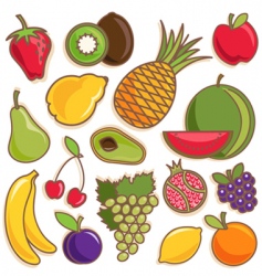 Fruit vector vector image