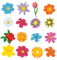 Floral Background vector image
