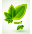 Nature abstract background vector image