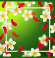 Summer and spring background with tropical flower vector image