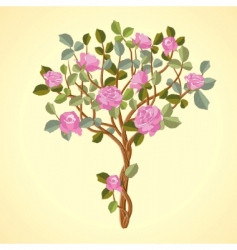Roses tree vector image