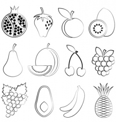 Fruit icon vector image