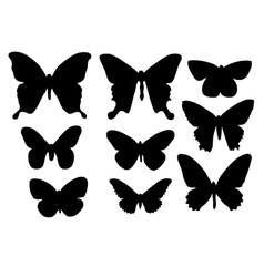 Silhouettes of butterflies vector image
