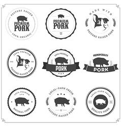 Set of premium pork meat labels vector image