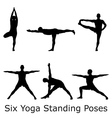 Yoga standings vector image