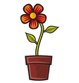 Flower in pot vector image