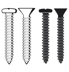 Screws vector image