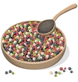 Mixed peppercorns on wooden plate and spoon vector image