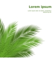 Tropical leaves vector image