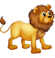 Cartoon strong lion vector image