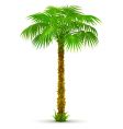Tropical landscape vector image