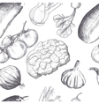 Hand drawn seamless set of organic vegetables Hand drawn seamless set of organic vegetables vector image