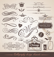 Calligraphic design elements vector image