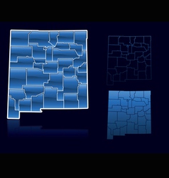 Counties of new mexico vector image