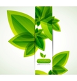 Nature abstract background vector image