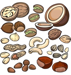 Nuts seeds icon set vector image