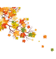 Autumn vector image