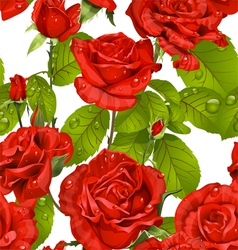 Luxury seamless pattern of red roses on a white vector image