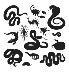 Flat snakes and other danger animals vector image
