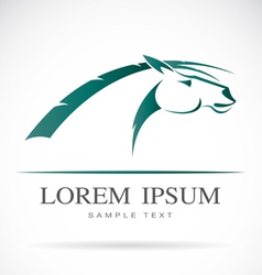 Horse vector image