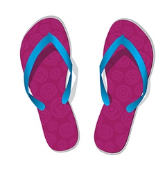 Pair of flip flops slippers vector image