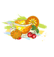 Fruits with colorful splashes vector image