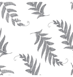 Branches and leaves grey vector image